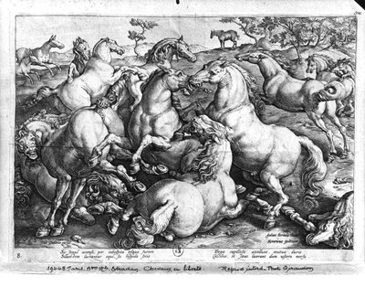 野生の馬 作： Jan van der Straet