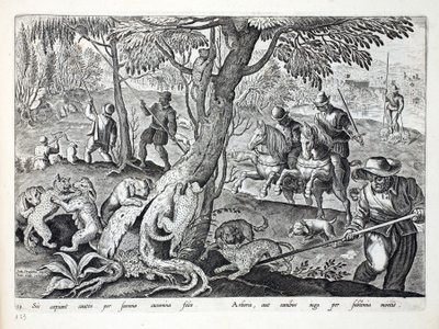 Jan Collaert（1566-1628）によって刻まれた &39;Venationes、Ferarum、Avium、Piscium&39;（Of Hunting：Wild Beasts、Birds、Fish）からのイラスト、犬と一緒に猫を狩猟、パブ。 Phillipus Gallaeus、アムステルダム（eng 作： Jan van der Straet