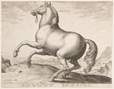 「Equile Joannis Austriaci」の最初のセットのフランスの馬 作： Jan van der Straet, called Stradanus