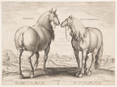 「Equile Joannis Austriaci」の最初のセットのローマの馬 作： Jan van der Straet, called Stradanus