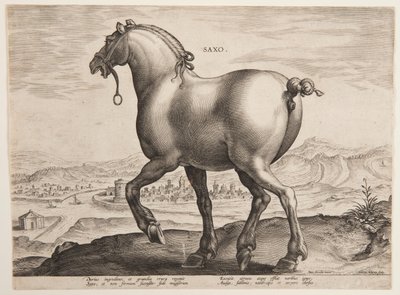 「Equile Joannis Austriaci」の最初のセットからのサクソン馬 作： Jan van der Straet, called Stradanus