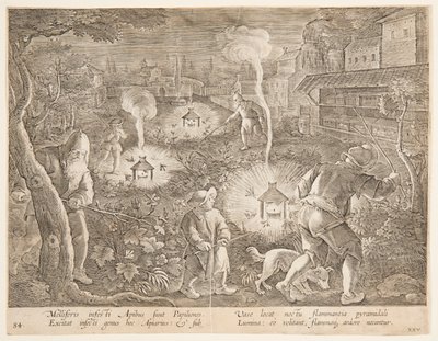 獲物、鳥、魚の狩猟シリーズの夜の蛾を捕まえる、プレート25 作： Jan van der Straet, called Stradanus