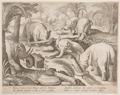 トラップから抱き合う象、野生動物、鳥、魚の狩猟シリーズのプレート 1 作： Jan van der Straet, called Stradanus
