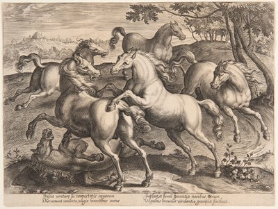 「Equile Joannis Austriaci」の第 4 セットからのファイティング ホース 作： Jan van der Straet, called Stradanus