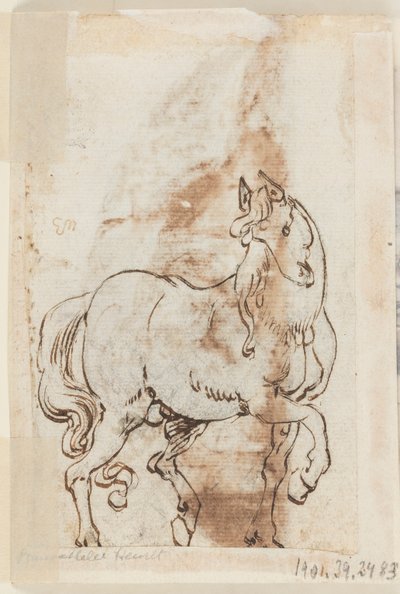 画集のページ。 聖マグダラの絵画の研究。 種牡馬 作： Jan van der Straet, called Stradanus