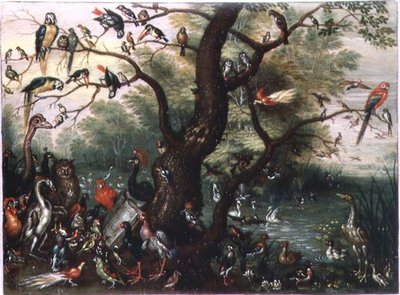 鳥のコンサート（銅に油 作： Jan van the Elder Kessel