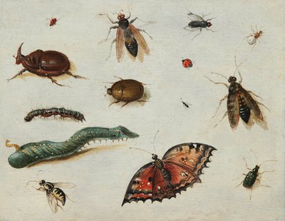 "Insects" Peinture de Jan Van Kessel l