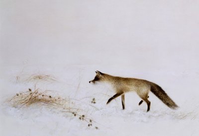 雪の中のキツネ 作： Jane Neville