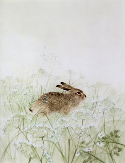 ウサギ 作： Jane Neville