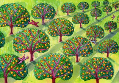 オーチャード 作： Jane Tattersfield