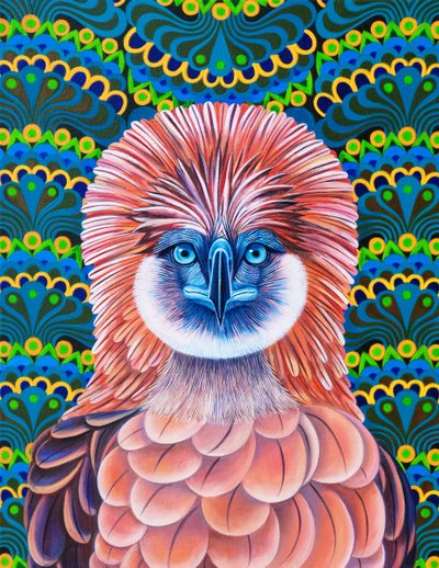フィリピン・イーグル、2020年 作： Jane Tattersfield