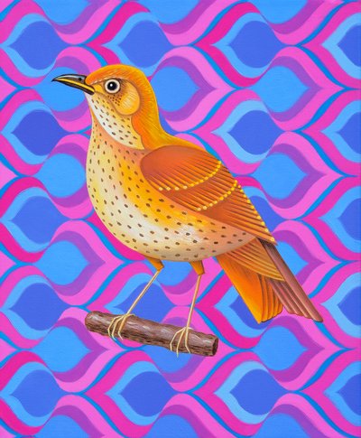 ツグミ、2023年（キャンバスに油彩） 作： Jane Tattersfield