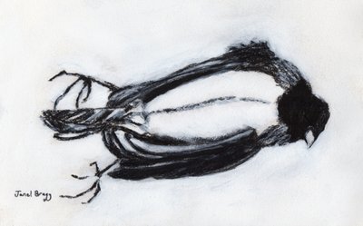 Dead Bird by my Stairwell, c.2018 （木炭、ジェッソ、紙） 作： Janel Bragg