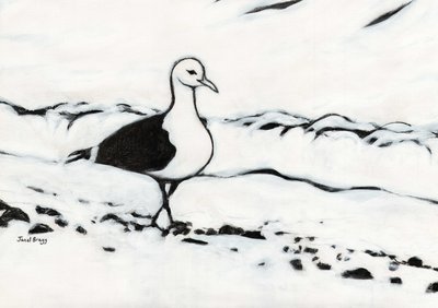 Seagull from Washington Park, c.2017 （木炭、ジェッソ、紙） 作： Janel Bragg