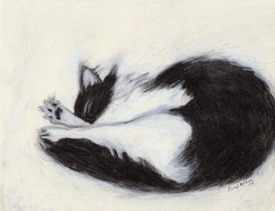 Thomas Taking a Nap, c.2018 （木炭、パステル、紙） 作： Janel Bragg
