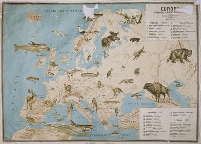 ヨーロッパの動物の地図（カラー彫刻） 作： Janos Balint