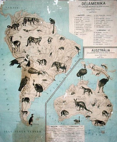 南米・オーストラリアの動物の地図 作： Janos Balint
