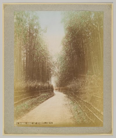 京都・清水の竹林（手彩色のモノクロ写真 作： Japanese Photographer