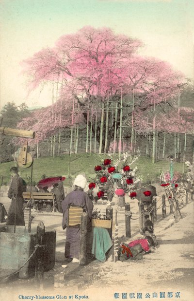 桜、祇園、京都、日本 作： Japanese Photographer