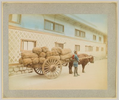 牛と荷車の男（日本）（手彩色白黒写真 作： Japanese Photographer