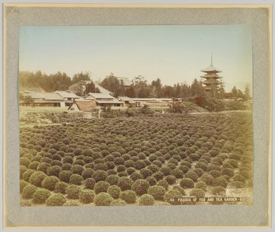 東寺の塔と茶庭（日本・京都）（手彩色白黒写真 作： Japanese Photographer