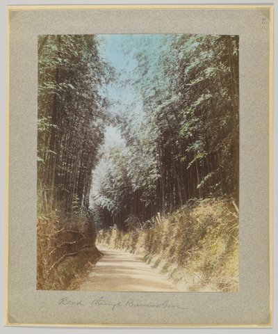 竹林の道（日本）（手彩色のモノクロ写真 作： Japanese Photographer