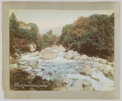 神奈川県・箱根・宮城野の渓流（手彩色白黒写真 作： Japanese Photographer