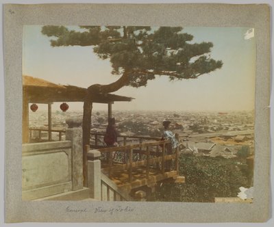 愛宕山からの東京の眺め（手彩色のモノクロ写真 作： Japanese Photographer
