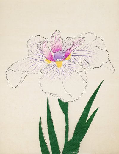 Akashi-no.-Ul, no.10, 1898  作： Japanese School