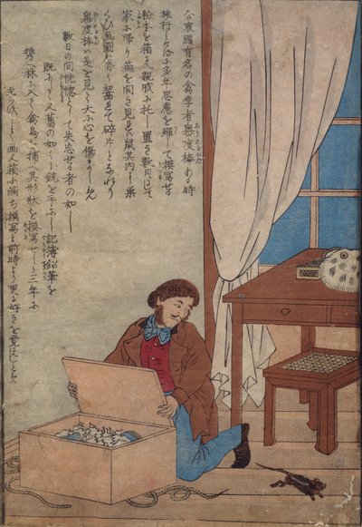 オーデュボンがノルウェーのネズミによって破壊された水彩画の箱を開けたc.1872-77 作： Japanese School
