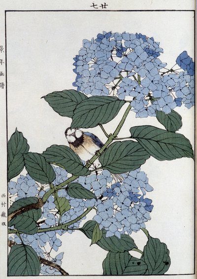 紫陽花の中の鳥 - 日本のプリント 作： Japanese School