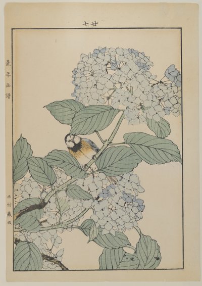 アジサイの鳥、明治時代、1868-1912年頃（カラー木版画） 作： Japanese School