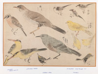 おきょう風の鳥（版画カラープリント） 作： Japanese School