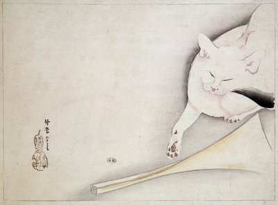 日本画「猫」 19世紀 作： Japanese School