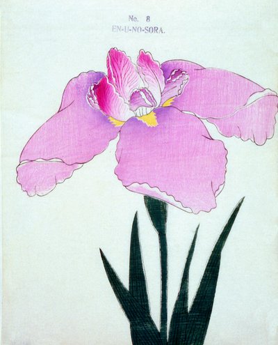 En-U-no.-Sora, no.8, 1898  作： Japanese School