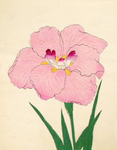 五福抄集、86年、1890年（色木版） 作： Japanese School