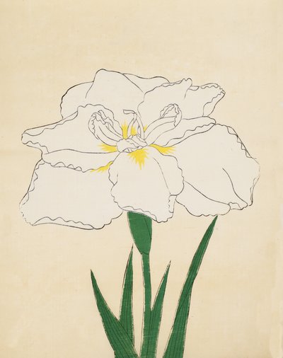 白王殿40号1890年（木版印刷） 作： Japanese School