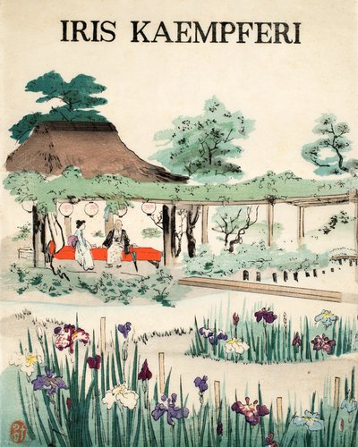 アイリス・ケンフェリ-表紙、1890 作： Japanese School
