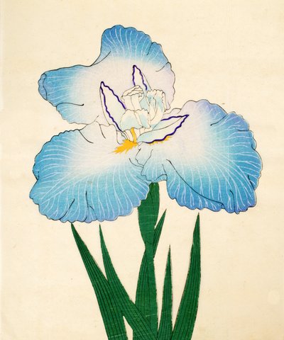 いろじまん、80号、1890年（色木版） 作： Japanese School