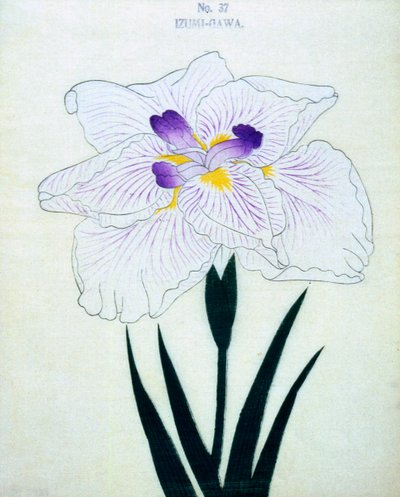 Izumi-Gawa, no.37, 1898  作： Japanese School