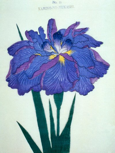 Kamiyo-no.-Mukashi no.16, 1898  作： Japanese School