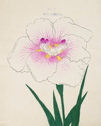 Misuji-no.-Ito, no.17, 1898  作： Japanese School