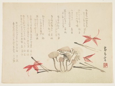 キノコ、カエデの葉、松葉（色木版画） 作： Japanese School