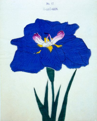 O-Sho-Kun, no.12, 1898  作： Japanese School