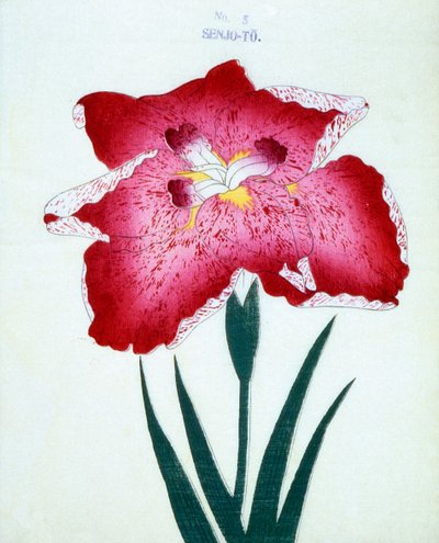 Senjo-To, no.5, 1898  作： Japanese School