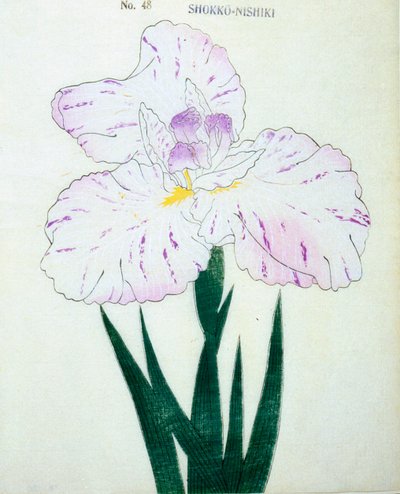 Shokko-Nishiki, no.48, 1898  作： Japanese School