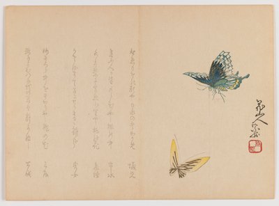 2枚の蝶、c.1860（木版印刷、横長横型） 作： Japanese School