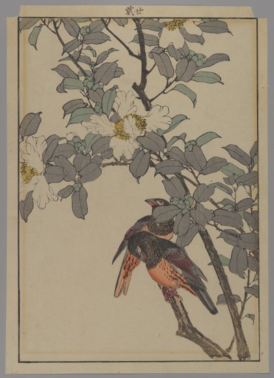 白い花を持つ2羽の鳥、明治時代、1892年（色木版画） 作： Japanese School