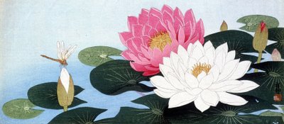 睡蓮とトンボ - 日本のプリント 作： Japanese School
