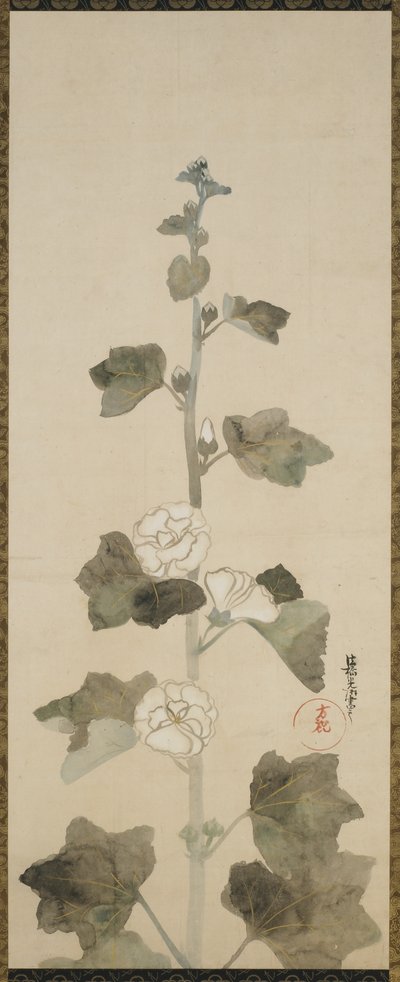 白いタチアオイ、江戸時代、1615〜1868年（紙にインク、色合い、金） 作： Japanese School